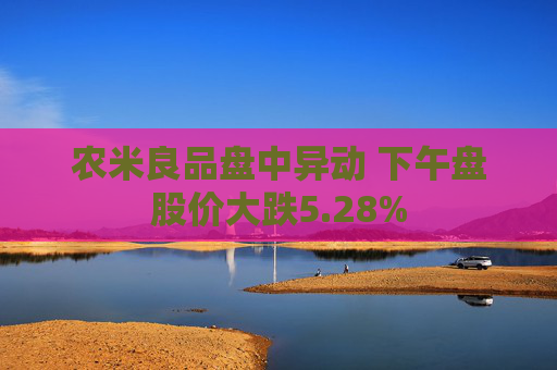 农米良品盘中异动 下午盘股价大跌5.28%  第1张