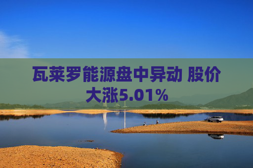 瓦莱罗能源盘中异动 股价大涨5.01%