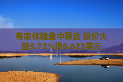 有家保险盘中异动 股价大跌5.72%报0.623美元