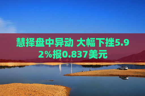 慧择盘中异动 大幅下挫5.92%报0.837美元