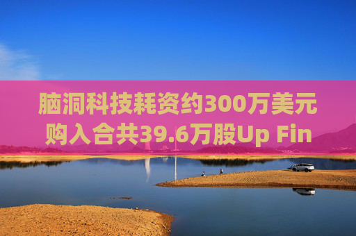 脑洞科技耗资约300万美元购入合共39.6万股Up Fintech股份  第1张