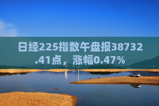 日经225指数午盘报38732.41点，涨幅0.47%  第1张