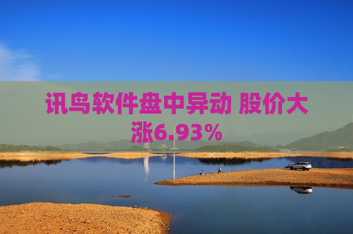 讯鸟软件盘中异动 股价大涨6.93%