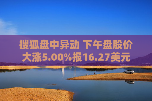 搜狐盘中异动 下午盘股价大涨5.00%报16.27美元