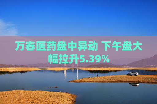 万春医药盘中异动 下午盘大幅拉升5.39%  第1张