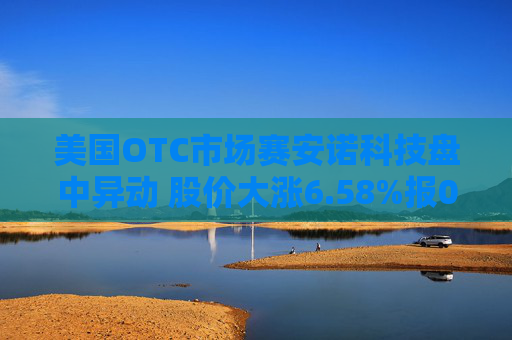 美国OTC市场赛安诺科技盘中异动 股价大涨6.58%报0.810美元  第1张