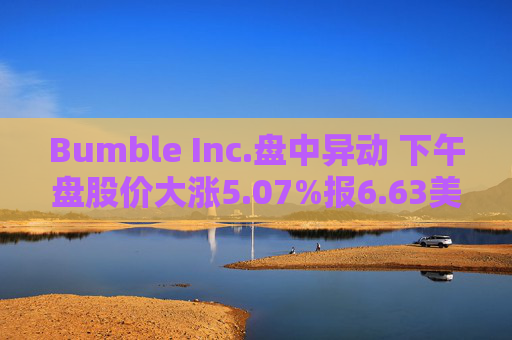 Bumble Inc.盘中异动 下午盘股价大涨5.07%报6.63美元