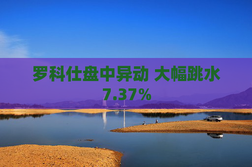 罗科仕盘中异动 大幅跳水7.37%