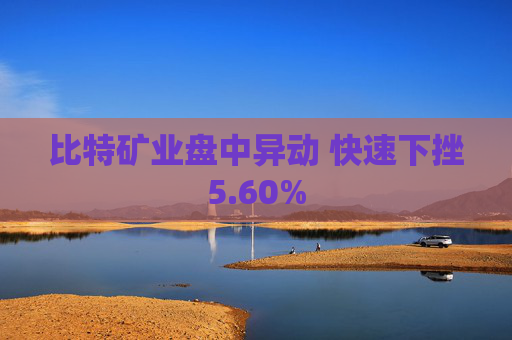 比特矿业盘中异动 快速下挫5.60%