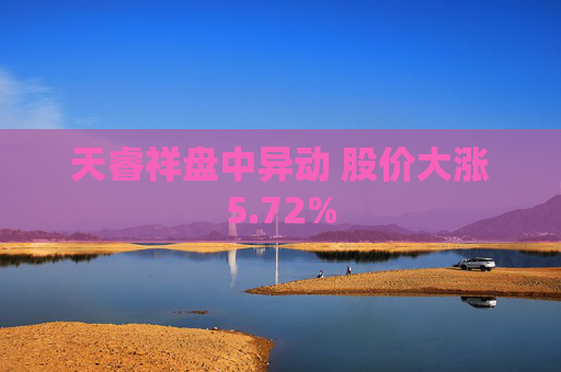 天睿祥盘中异动 股价大涨5.72%  第1张