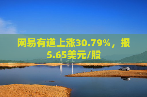 网易有道上涨30.79%，报5.65美元/股