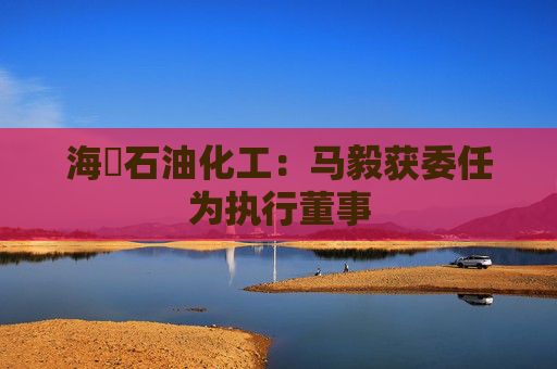 海峽石油化工：马毅获委任为执行董事  第1张