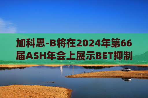 加科思-B将在2024年第66届ASH年会上展示BET抑制剂JAB-8263的临床数据