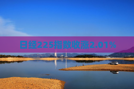 日经225指数收涨2.01%  第1张