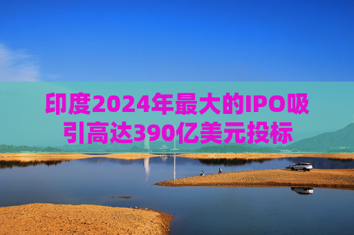 印度2024年最大的IPO吸引高达390亿美元投标