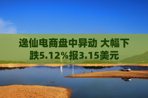 逸仙电商盘中异动 大幅下跌5.12%报3.15美元  第1张