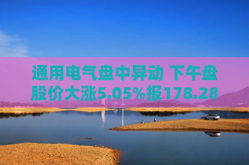 通用电气盘中异动 下午盘股价大涨5.05%报178.28美元