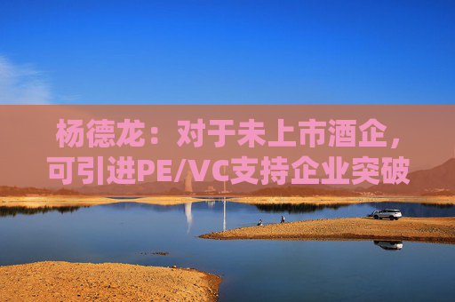 杨德龙：对于未上市酒企，可引进PE/VC支持企业突破难关