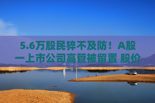 5.6万股民猝不及防！A股一上市公司高管被留置 股价闪崩、主力资金出逃  第1张