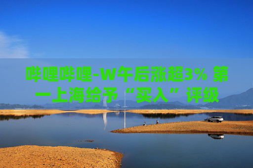 哔哩哔哩-W午后涨超3% 第一上海给予“买入”评级  第1张