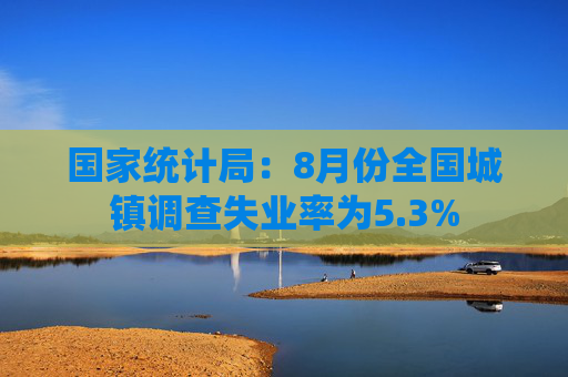 国家统计局：8月份全国城镇调查失业率为5.3%  第1张