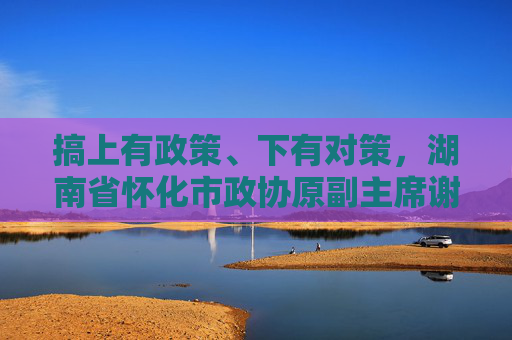 搞上有政策、下有对策，湖南省怀化市政协原副主席谢商成被“双开”  第1张