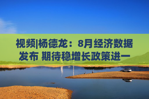 视频|杨德龙：8月经济数据发布 期待稳增长政策进一步加码  第1张