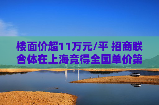 楼面价超11万元/平 招商联合体在上海竞得全国单价第二高地王  第1张