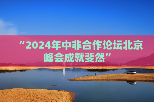 “2024年中非合作论坛北京峰会成就斐然”