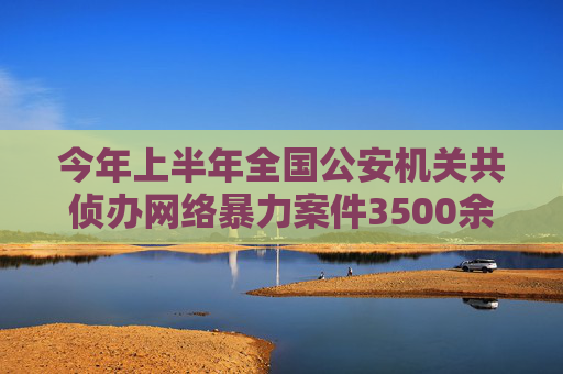 今年上半年全国公安机关共侦办网络暴力案件3500余起  第1张