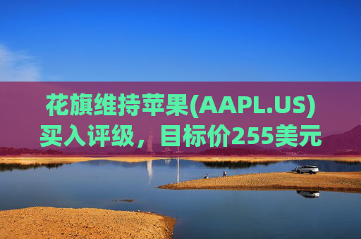 花旗维持苹果(AAPL.US)买入评级，目标价255美元  第1张