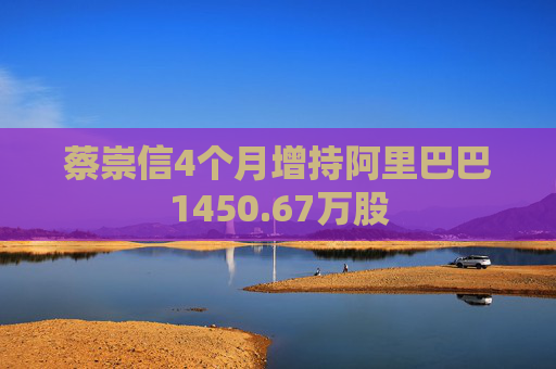 蔡崇信4个月增持阿里巴巴1450.67万股  第1张