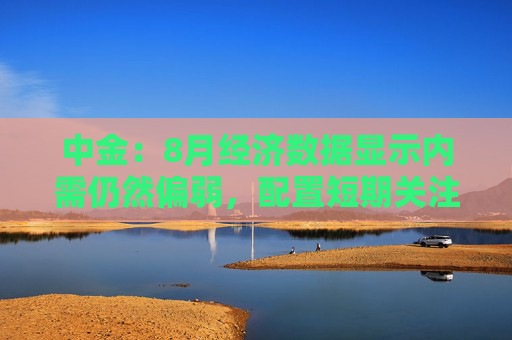 中金：8月经济数据显示内需仍然偏弱，配置短期关注超跌反弹和困境反转  第1张