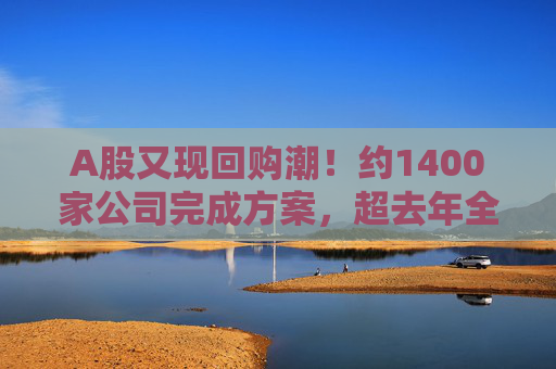 A股又现回购潮！约1400家公司完成方案，超去年全年！  第1张