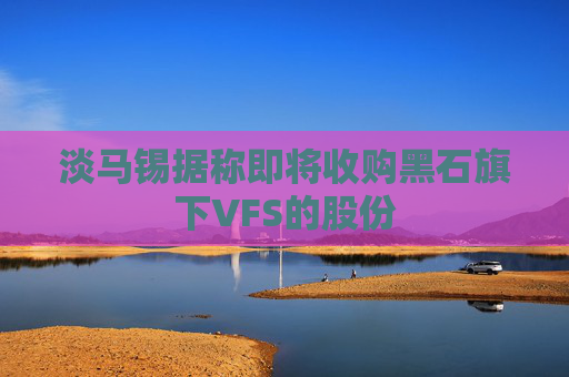 淡马锡据称即将收购黑石旗下VFS的股份  第1张