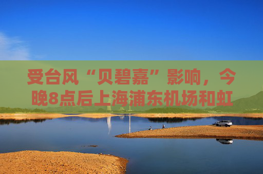 受台风“贝碧嘉”影响，今晚8点后上海浦东机场和虹桥机场所有航班取消  第1张