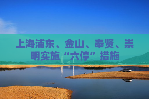 上海浦东、金山、奉贤、崇明实施“六停”措施  第1张