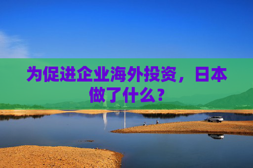 为促进企业海外投资，日本做了什么？