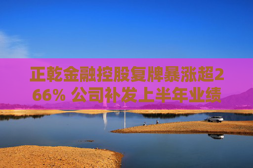 正乾金融控股复牌暴涨超266% 公司补发上半年业绩报告  第1张