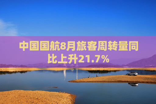 中国国航8月旅客周转量同比上升21.7%  第1张