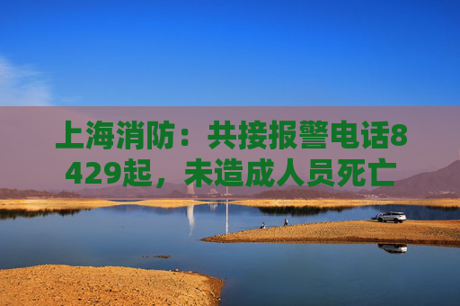 上海消防：共接报警电话8429起，未造成人员死亡  第1张