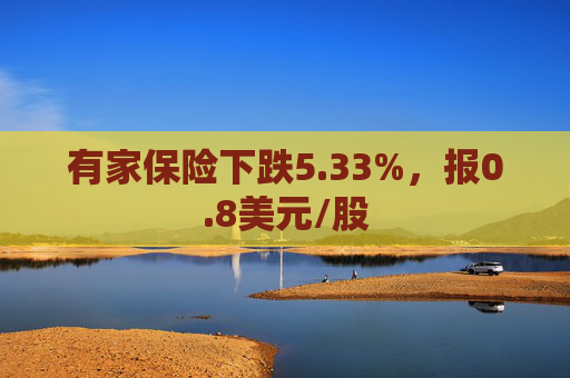 有家保险下跌5.33%，报0.8美元/股  第1张