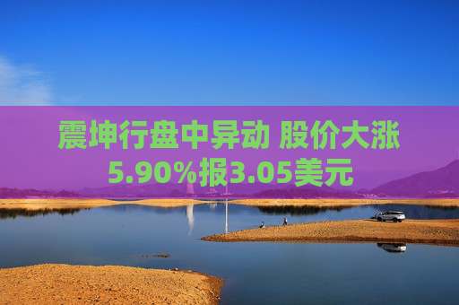 震坤行盘中异动 股价大涨5.90%报3.05美元  第1张