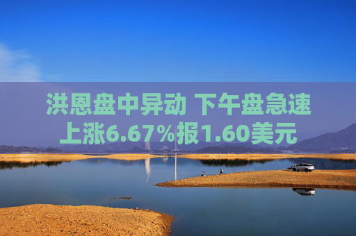 洪恩盘中异动 下午盘急速上涨6.67%报1.60美元  第1张