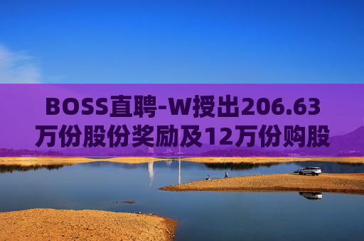 BOSS直聘-W授出206.63万份股份奖励及12万份购股权  第1张