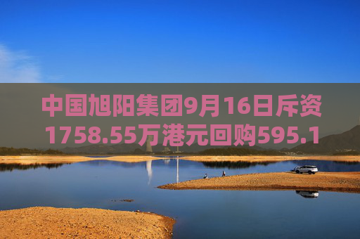 中国旭阳集团9月16日斥资1758.55万港元回购595.1万股  第1张