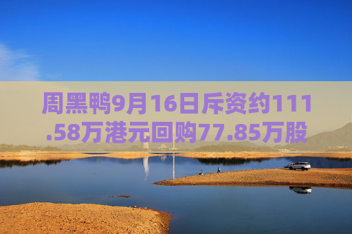 周黑鸭9月16日斥资约111.58万港元回购77.85万股  第1张