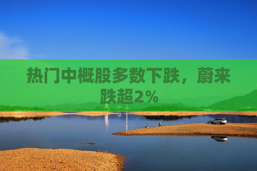 热门中概股多数下跌，蔚来跌超2%