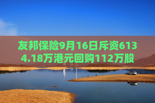 友邦保险9月16日斥资6134.18万港元回购112万股  第1张