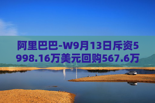 阿里巴巴-W9月13日斥资5998.16万美元回购567.6万股  第1张